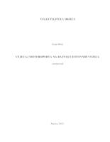 prikaz prve stranice dokumenta Utjecaj motorsporta na razvoj cestovnih vozila
